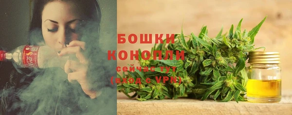 PSILOCYBIN Новозыбков