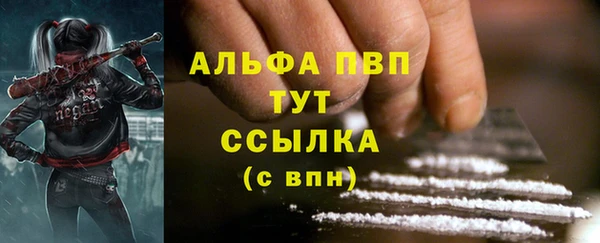 PSILOCYBIN Новозыбков