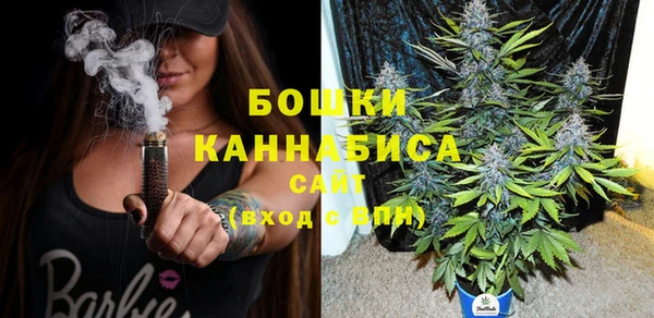 PSILOCYBIN Новозыбков