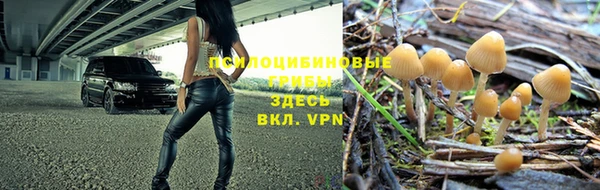 героин Новодвинск