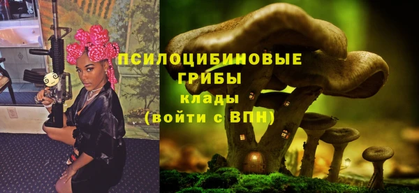 PSILOCYBIN Новозыбков