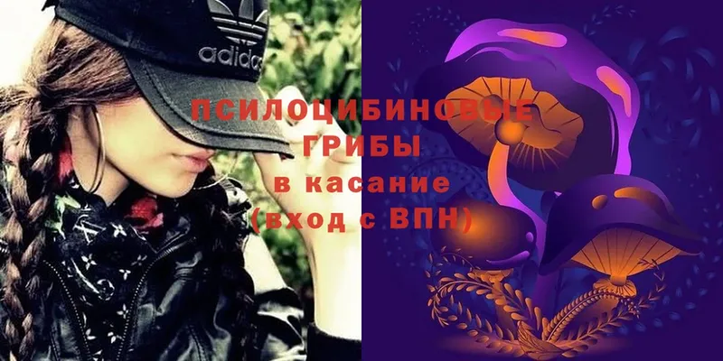 Галлюциногенные грибы Magic Shrooms Елец