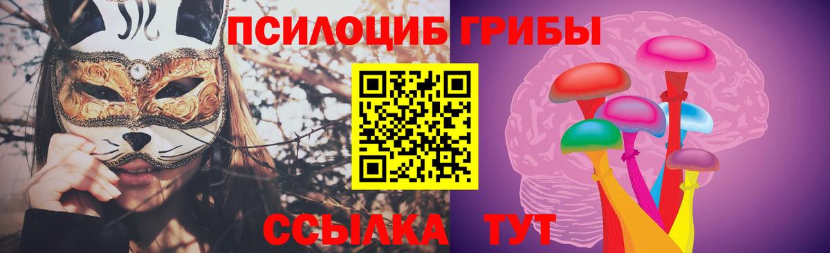 Елец  Галлюциногенные грибы Magic Shrooms  Вход с VPN 